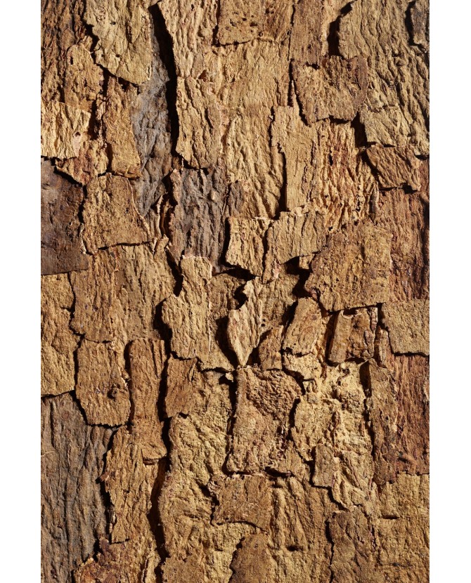 Liège de décoration brute Brun clair en dalle murale pour un effet nature garantie.